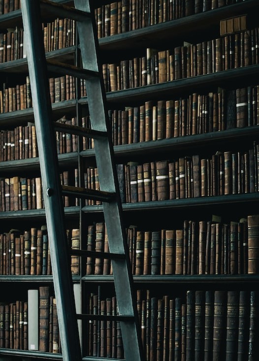 Several library shelves filled with leather-bound books and a ladder.